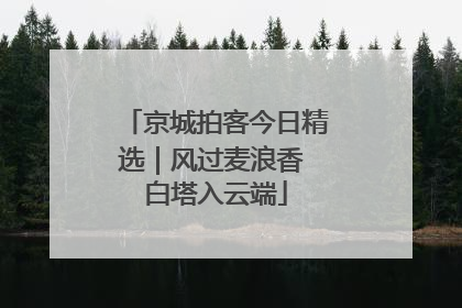 京城拍客今日精选｜风过麦浪香 白塔入云端